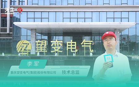 开云综合体育网站x望变电气